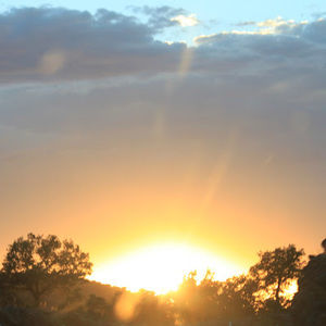 Meet your Posher, Joaquin